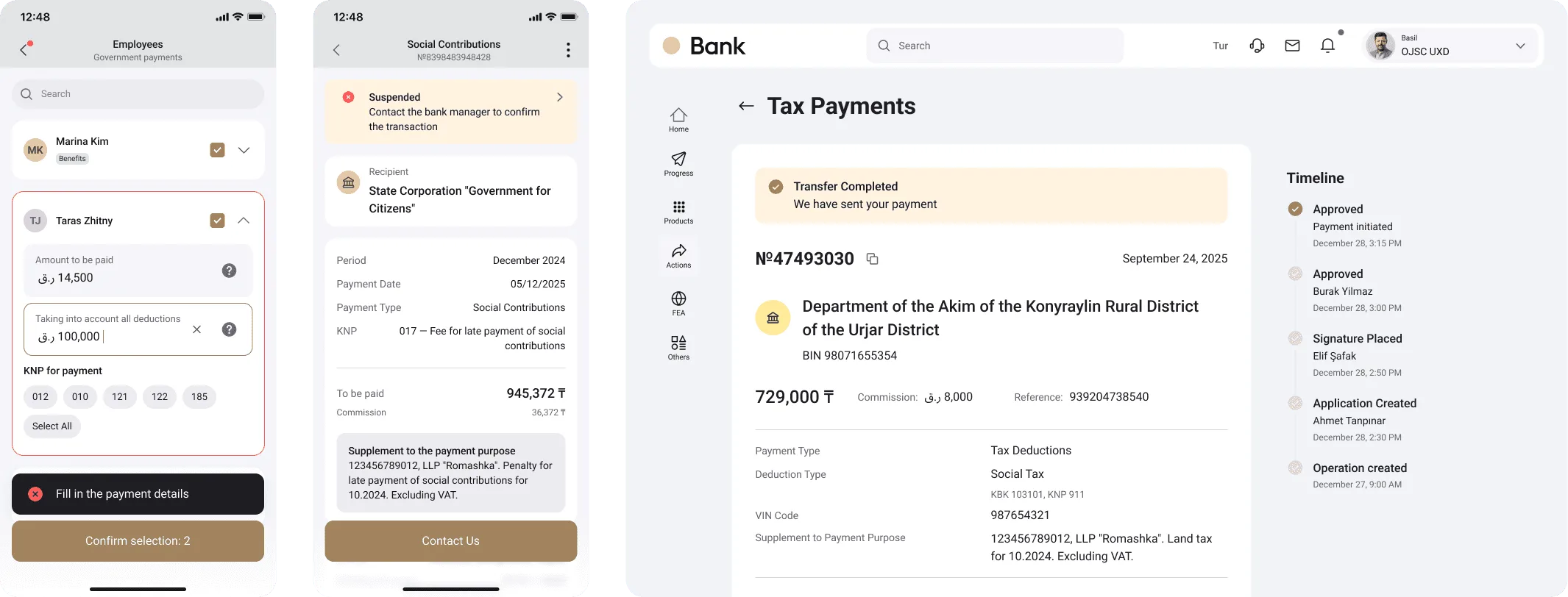 Government payments platform overview visual